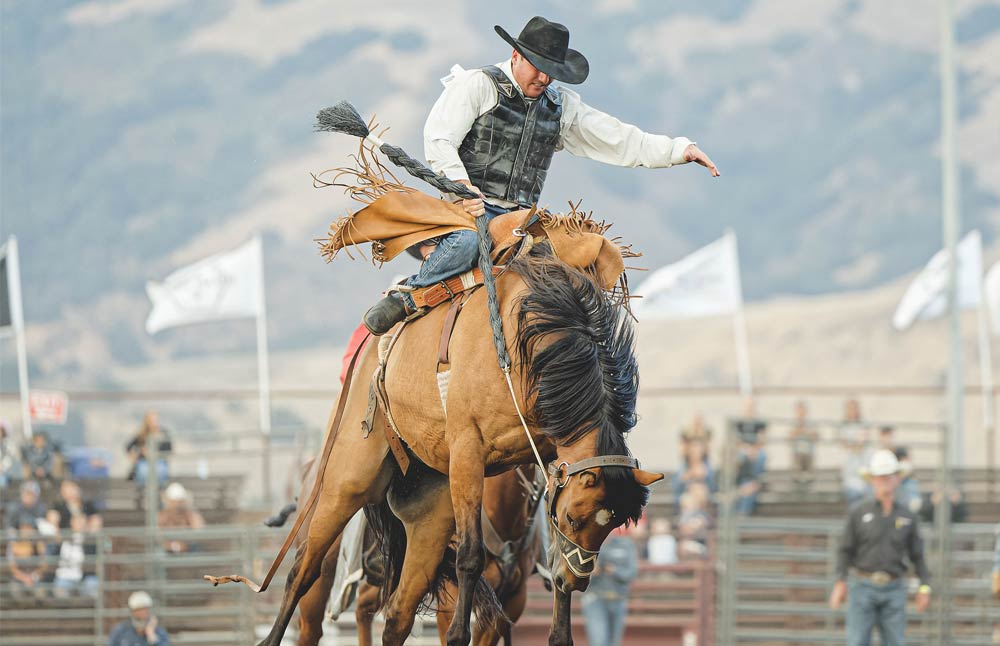 Modernizing Ticketing and Sales for the Gilroy Rodeo