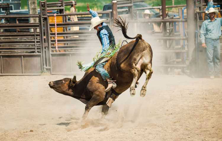 Rodeo